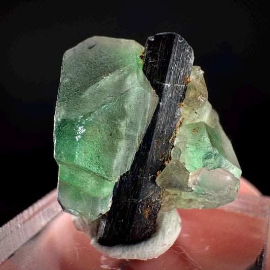 Fluorite w/ Black Tourmaline | Lollipop Pocket, green crystal, mineral specimen from Namibia