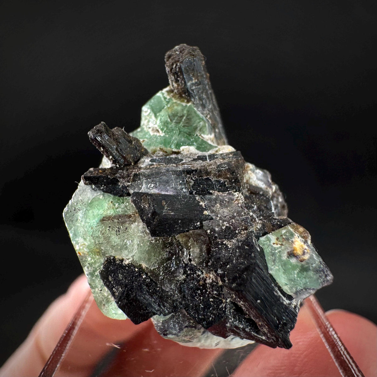 Fluorite w/ Black Tourmaline | Lollipop Pocket, green crystal, mineral specimen from Namibia