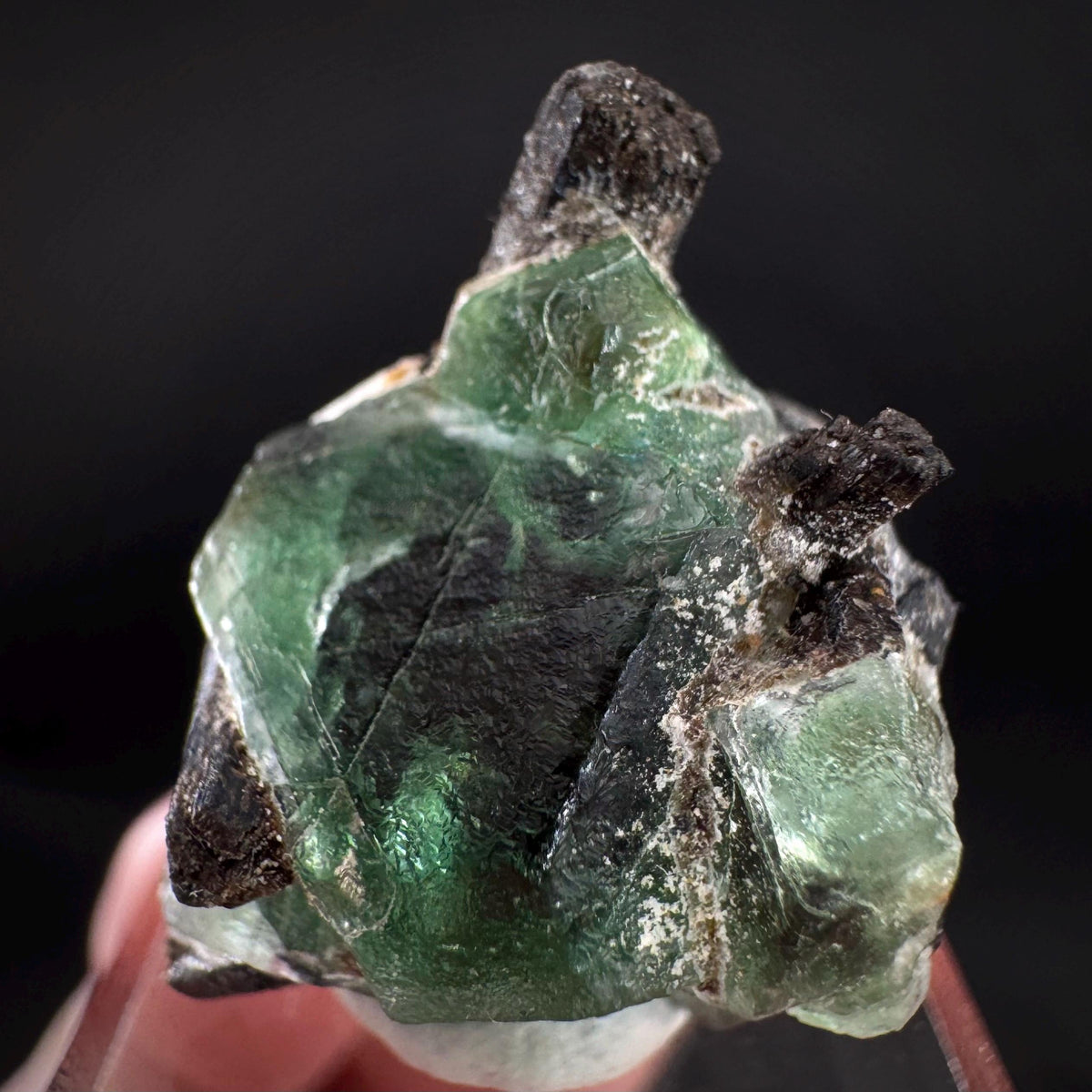 Fluorite w/ Black Tourmaline | Lollipop Pocket, green crystal, mineral specimen from Namibia