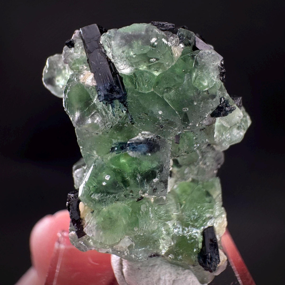 Fluorite w/ Schorl, & Muscovite | Lollipop Pocket, green crystal, mineral specimen from Namibia