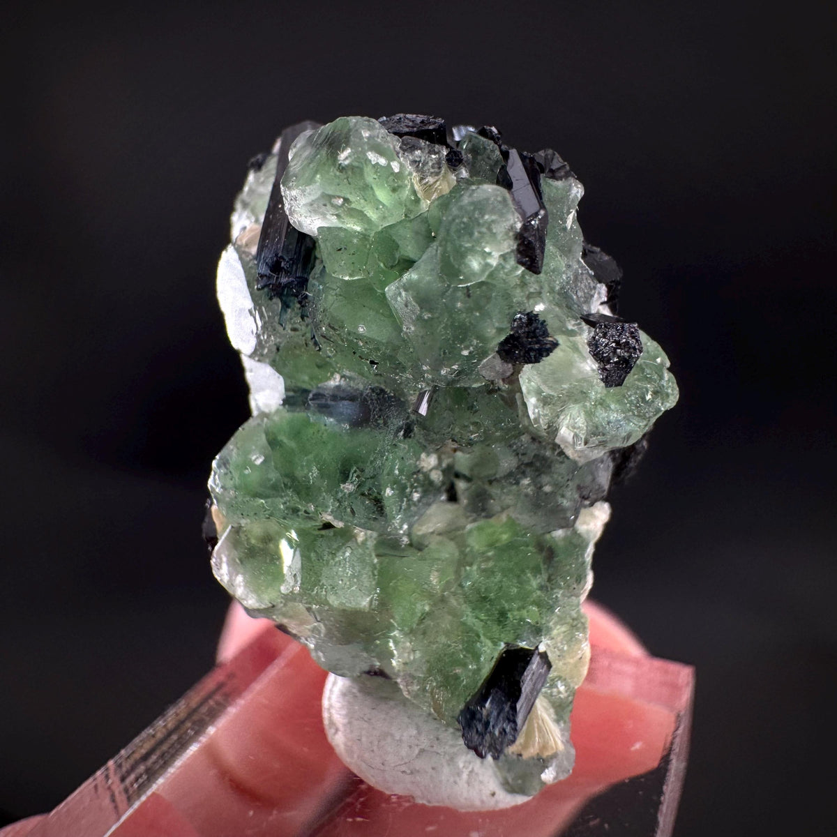 Fluorite w/ Schorl, & Muscovite | Lollipop Pocket, green crystal, mineral specimen from Namibia