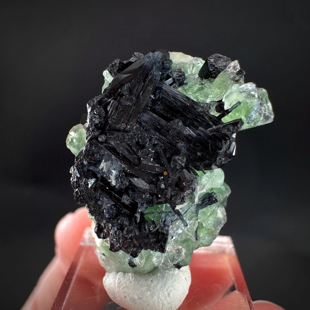 Fluorite w/ Schorl, & Muscovite | Lollipop Pocket, green crystal, mineral specimen from Namibia