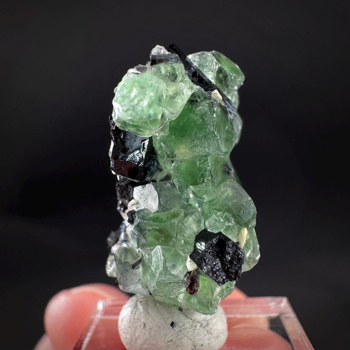 Fluorite w/ Schorl, & Muscovite | Lollipop Pocket, green crystal, mineral specimen from Namibia