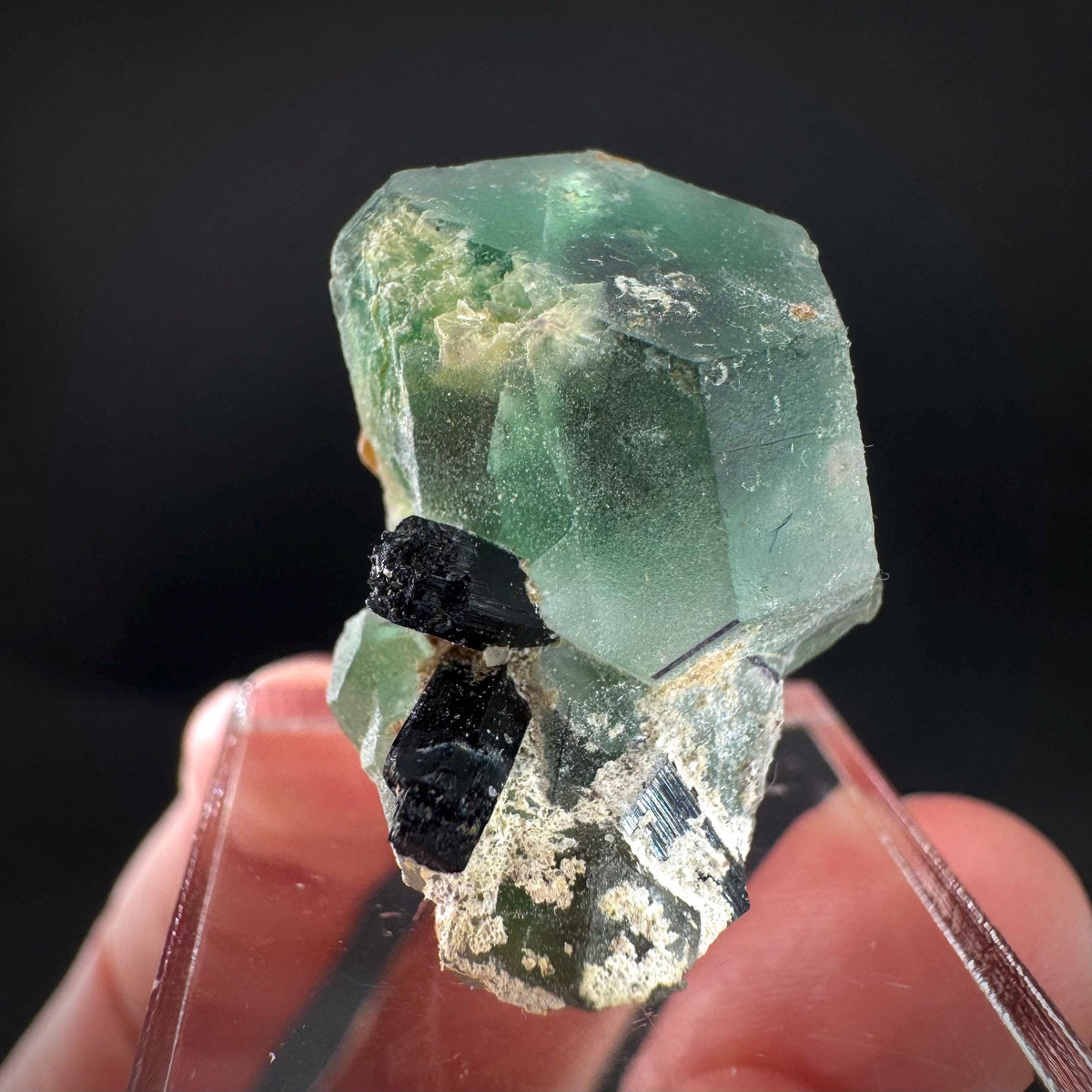 Fluorite w/ Schorl, & Muscovite | Lollipop Pocket, green crystal, mineral specimen from Namibia