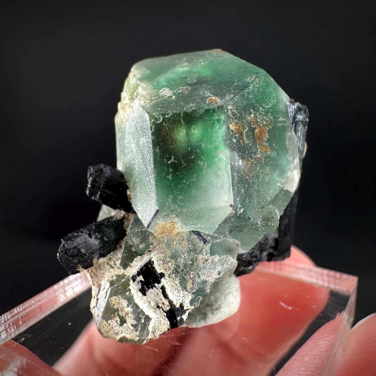 Fluorite w/ Schorl, & Muscovite | Lollipop Pocket, green crystal, mineral specimen from Namibia