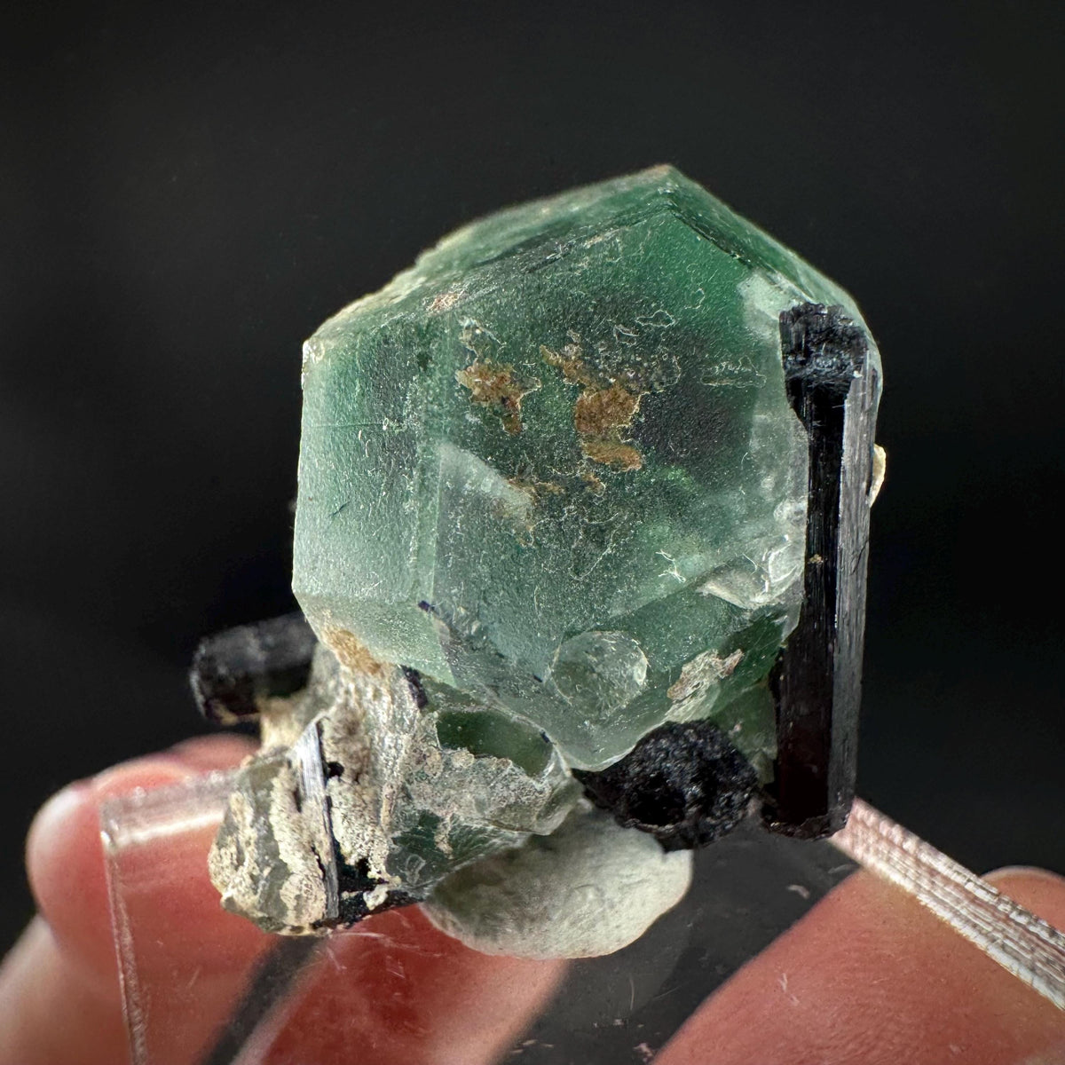 Fluorite w/ Schorl, & Muscovite | Lollipop Pocket, green crystal, mineral specimen from Namibia