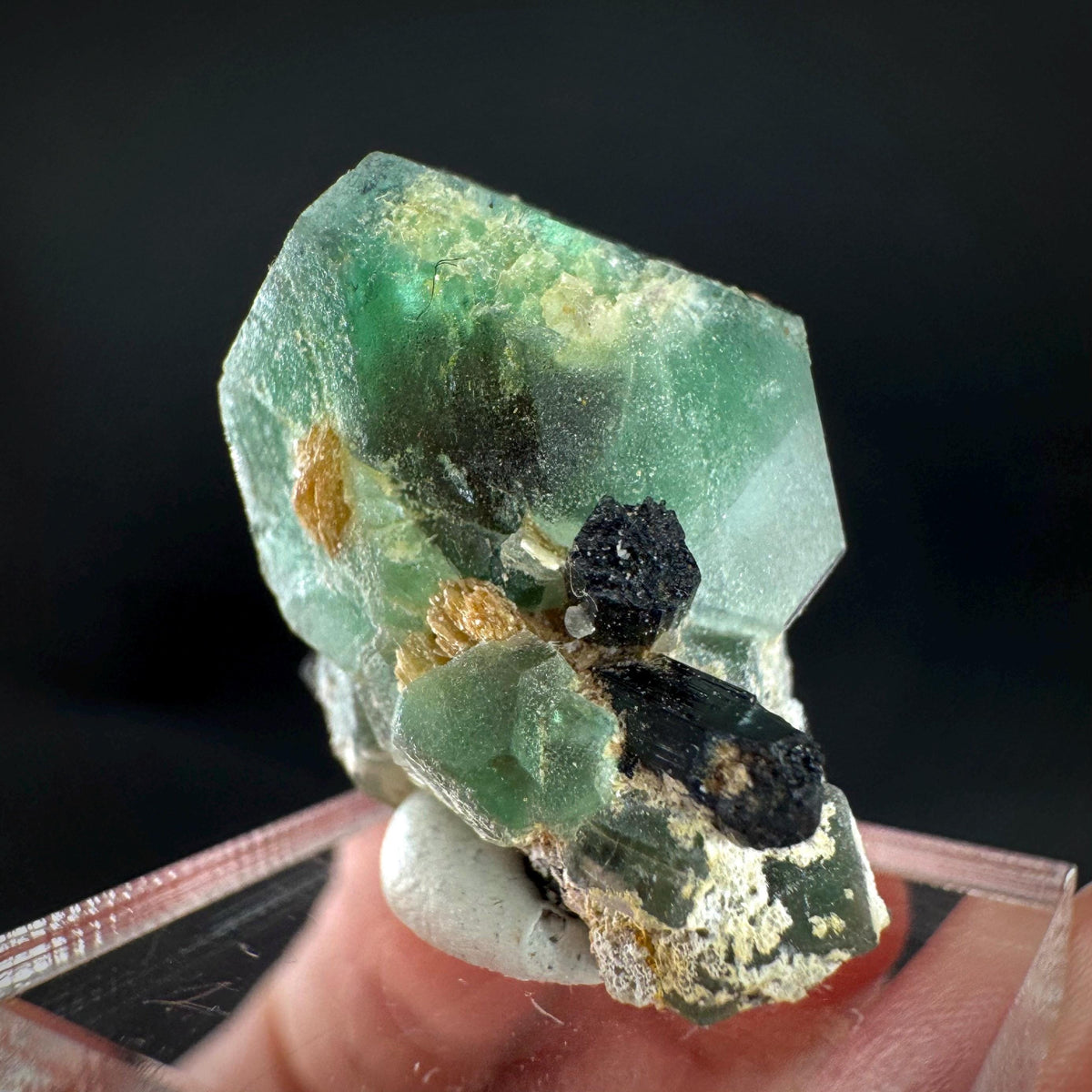 Fluorite w/ Schorl, & Muscovite | Lollipop Pocket, green crystal, mineral specimen from Namibia