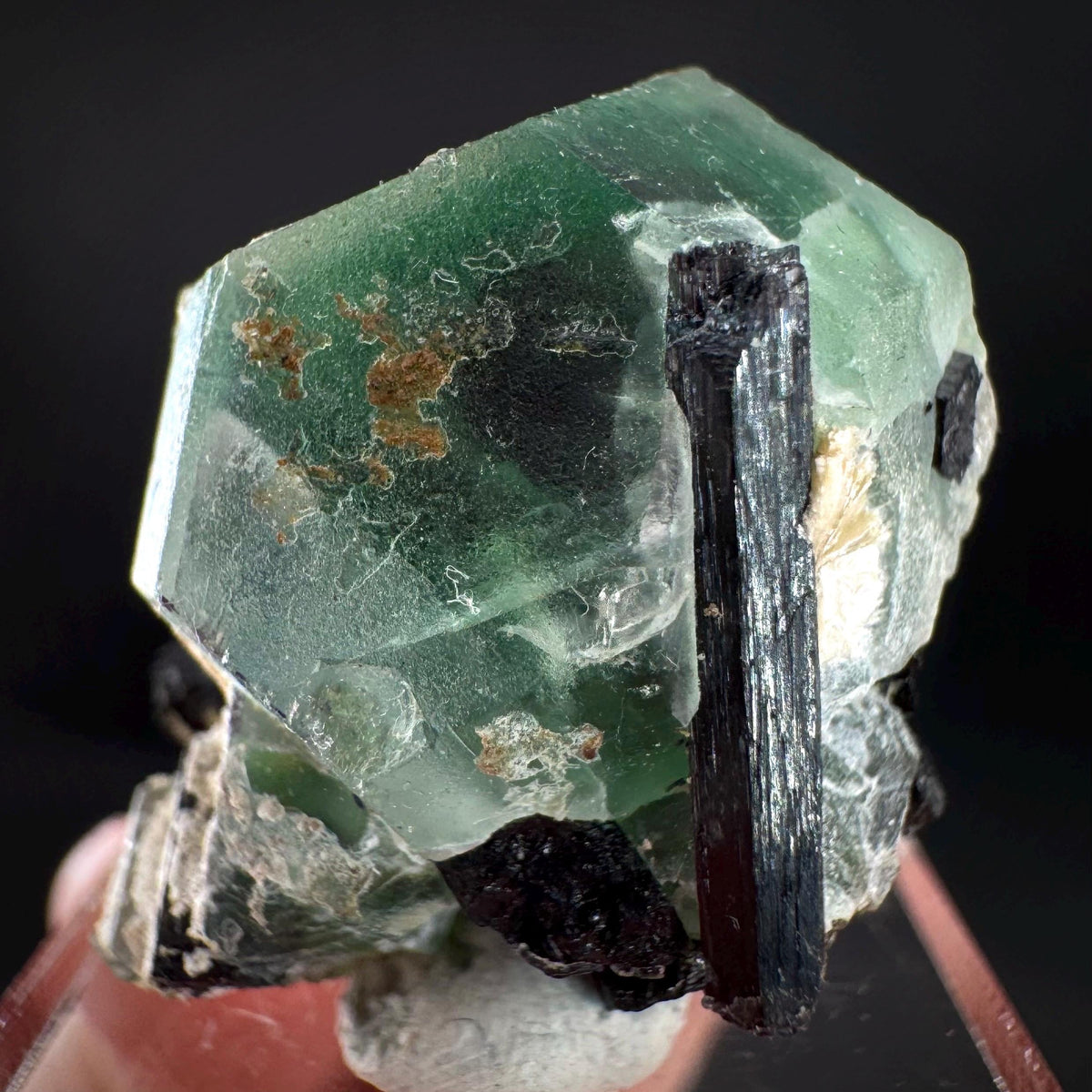 Fluorite w/ Schorl, & Muscovite | Lollipop Pocket, green crystal, mineral specimen from Namibia