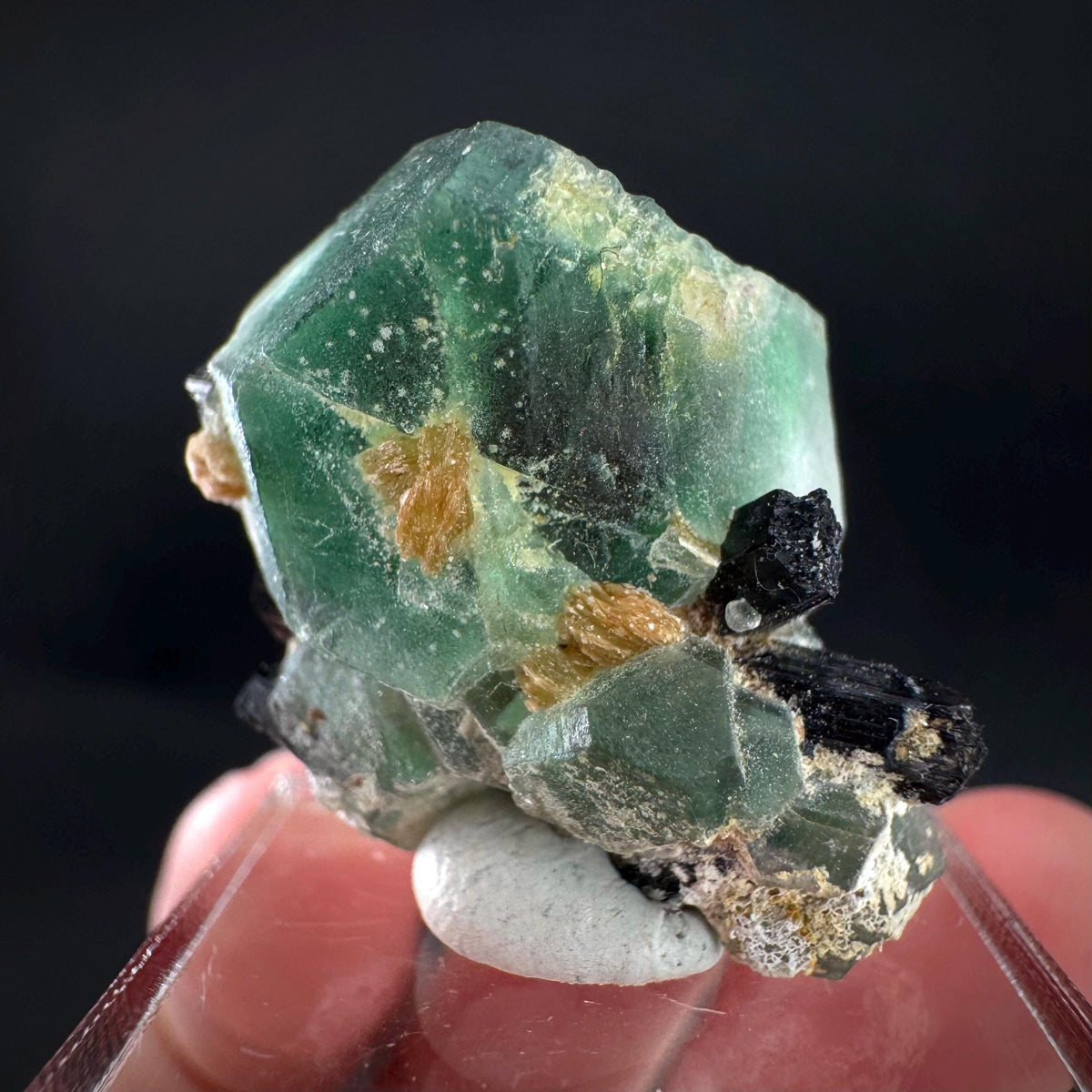 Fluorite w/ Schorl, & Muscovite | Lollipop Pocket, green crystal, mineral specimen from Namibia