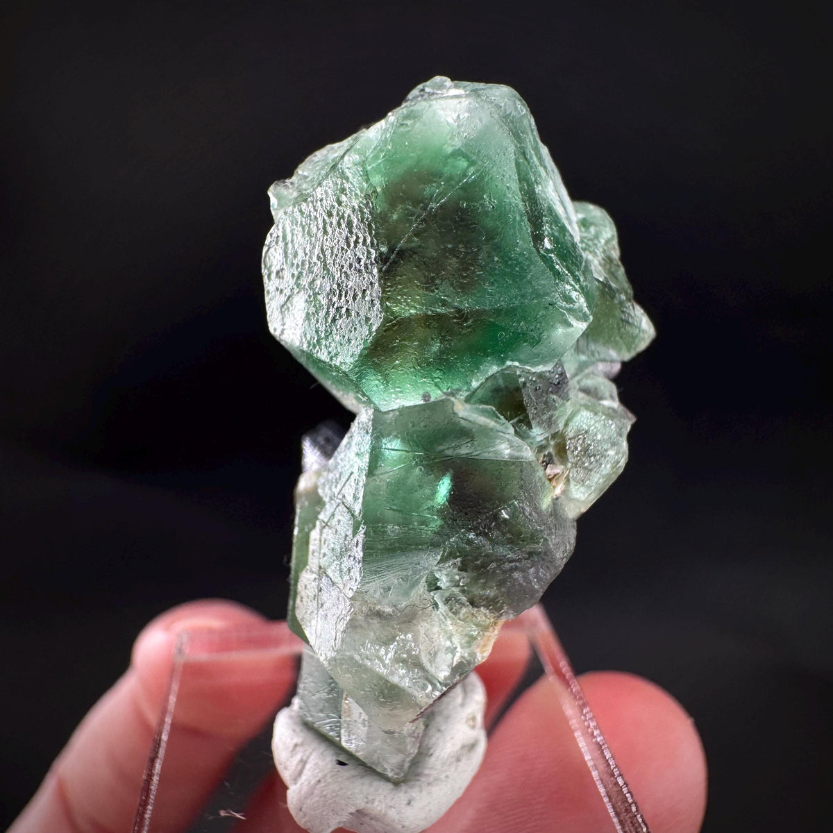 Fluorite w/ Schorl, & Muscovite | Lollipop Pocket, green crystal, mineral specimen from Namibia