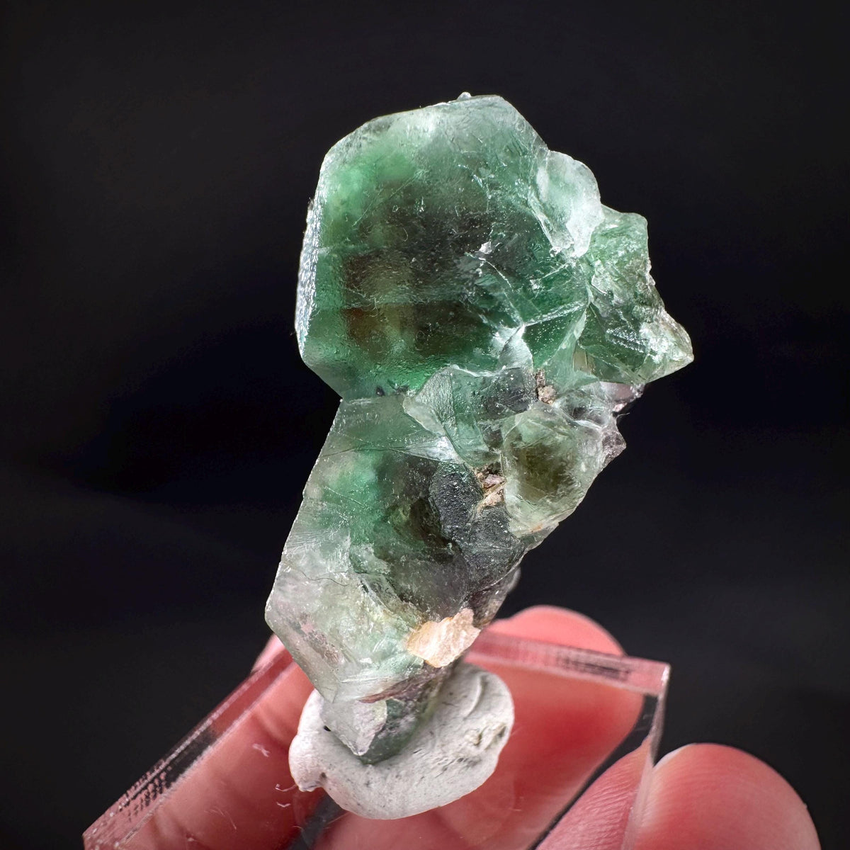 Fluorite w/ Schorl, & Muscovite | Lollipop Pocket, green crystal, mineral specimen from Namibia