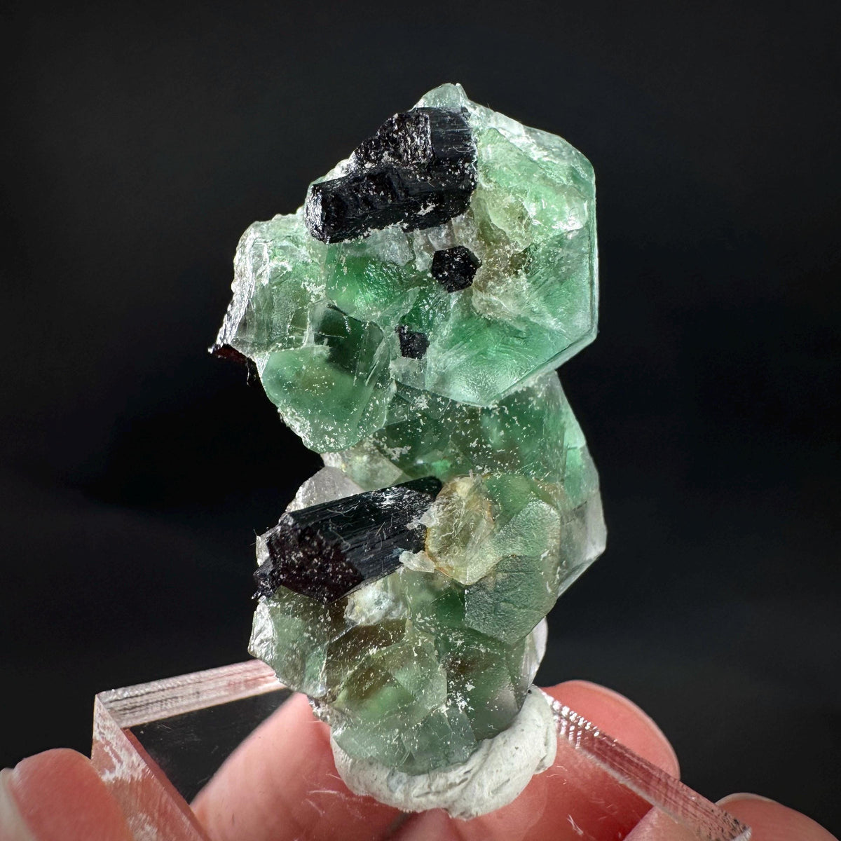 Fluorite w/ Schorl, & Muscovite | Lollipop Pocket, green crystal, mineral specimen from Namibia
