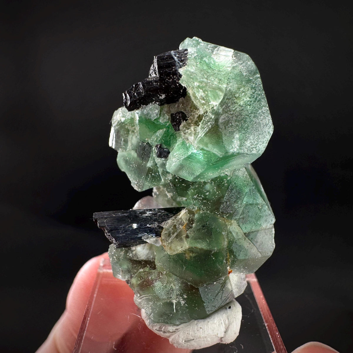 Fluorite w/ Schorl, & Muscovite | Lollipop Pocket, green crystal, mineral specimen from Namibia