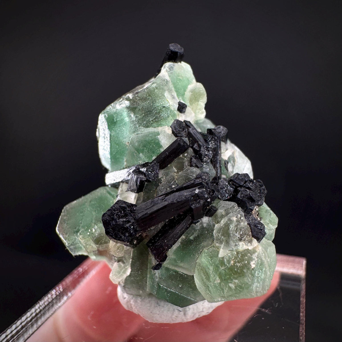 Fluorite w/ Black Tourmaline | Lollipop Pocket, green crystal, mineral specimen from Namibia