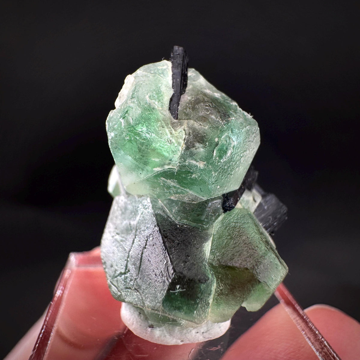 Fluorite w/ Black Tourmaline | Lollipop Pocket, green crystal, mineral specimen from Namibia