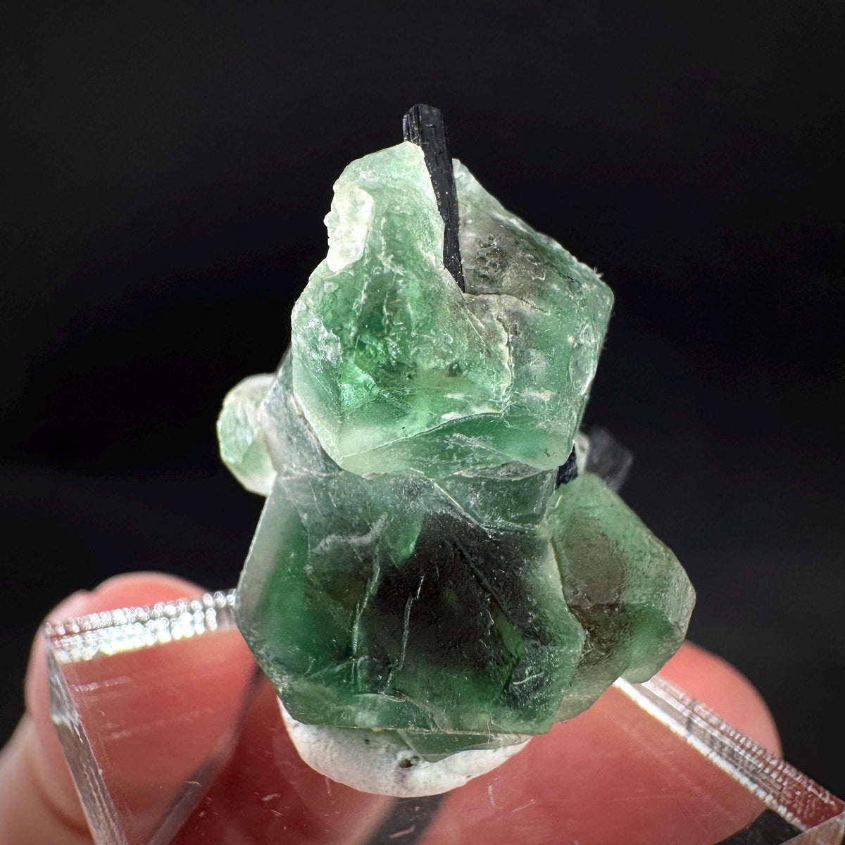 Fluorite w/ Black Tourmaline | Lollipop Pocket, green crystal, mineral specimen from Namibia