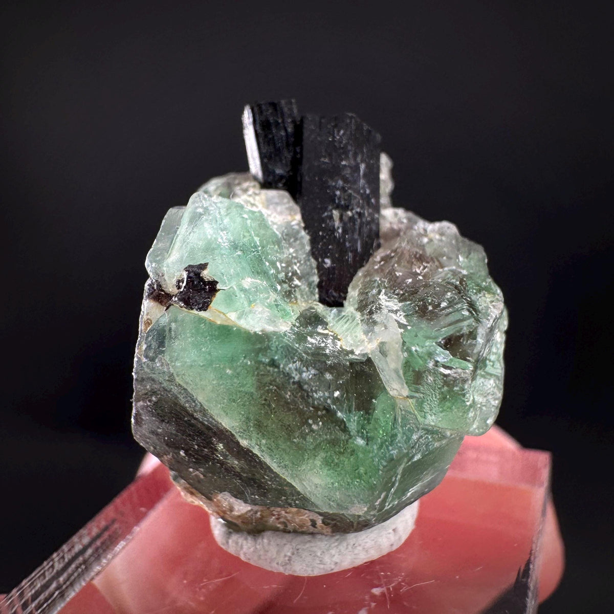 Fluorite w/ Black Tourmaline | Lollipop Pocket, green crystal, mineral specimen from Namibia