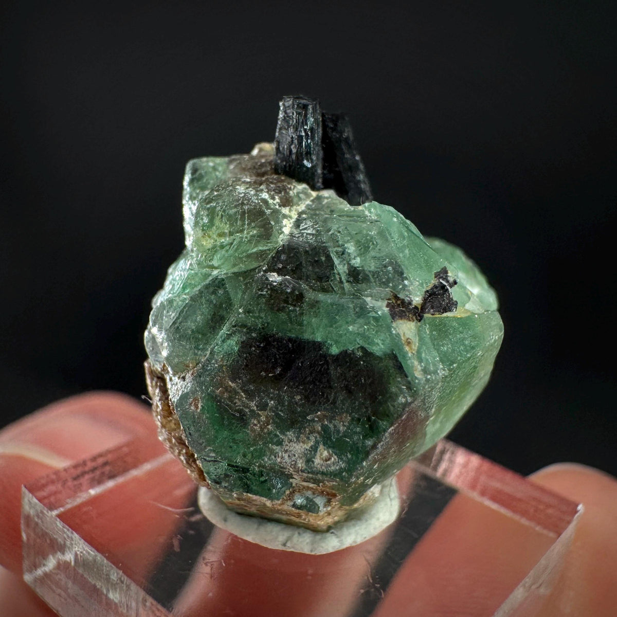 Fluorite w/ Black Tourmaline | Lollipop Pocket, green crystal, mineral specimen from Namibia