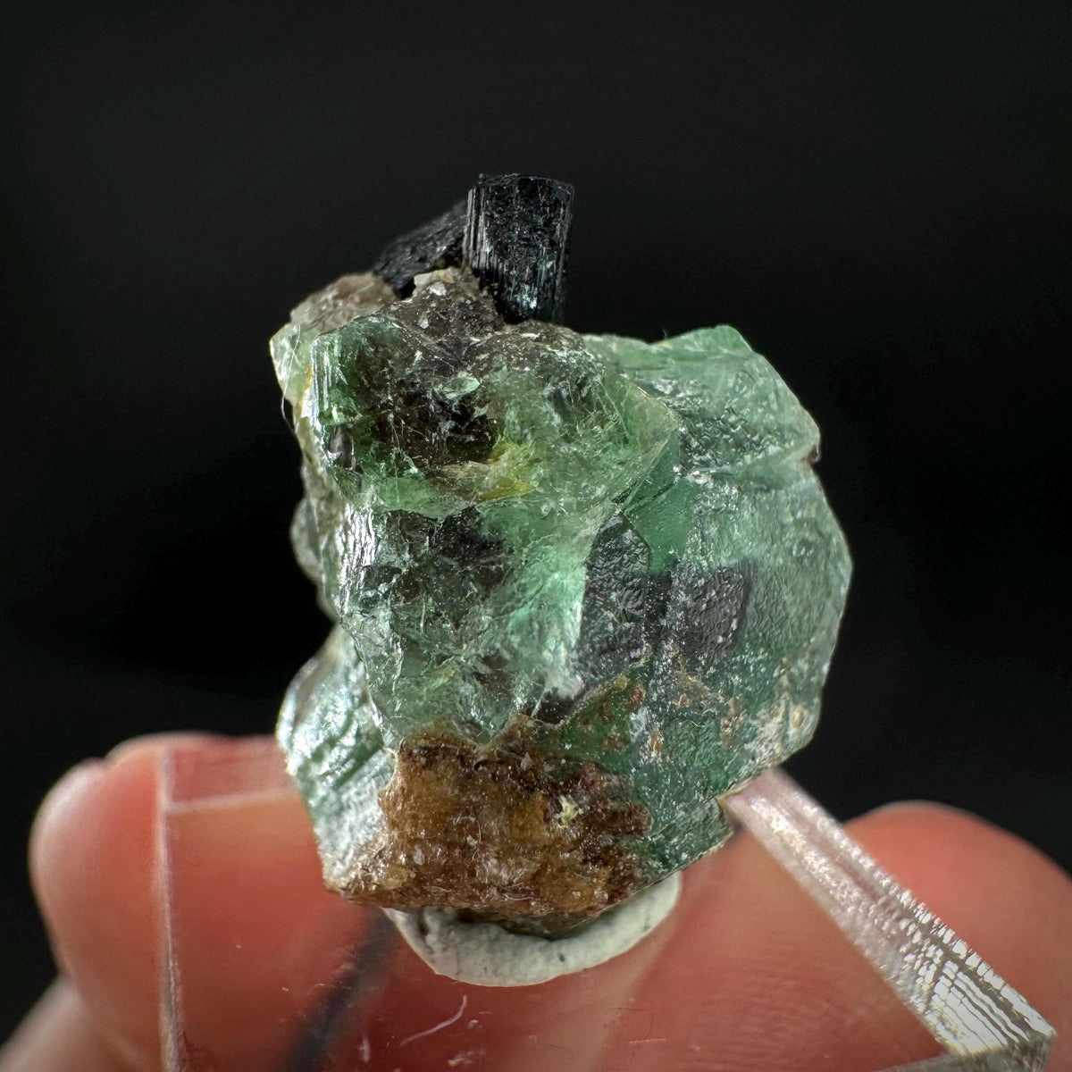 Fluorite w/ Black Tourmaline | Lollipop Pocket, green crystal, mineral specimen from Namibia