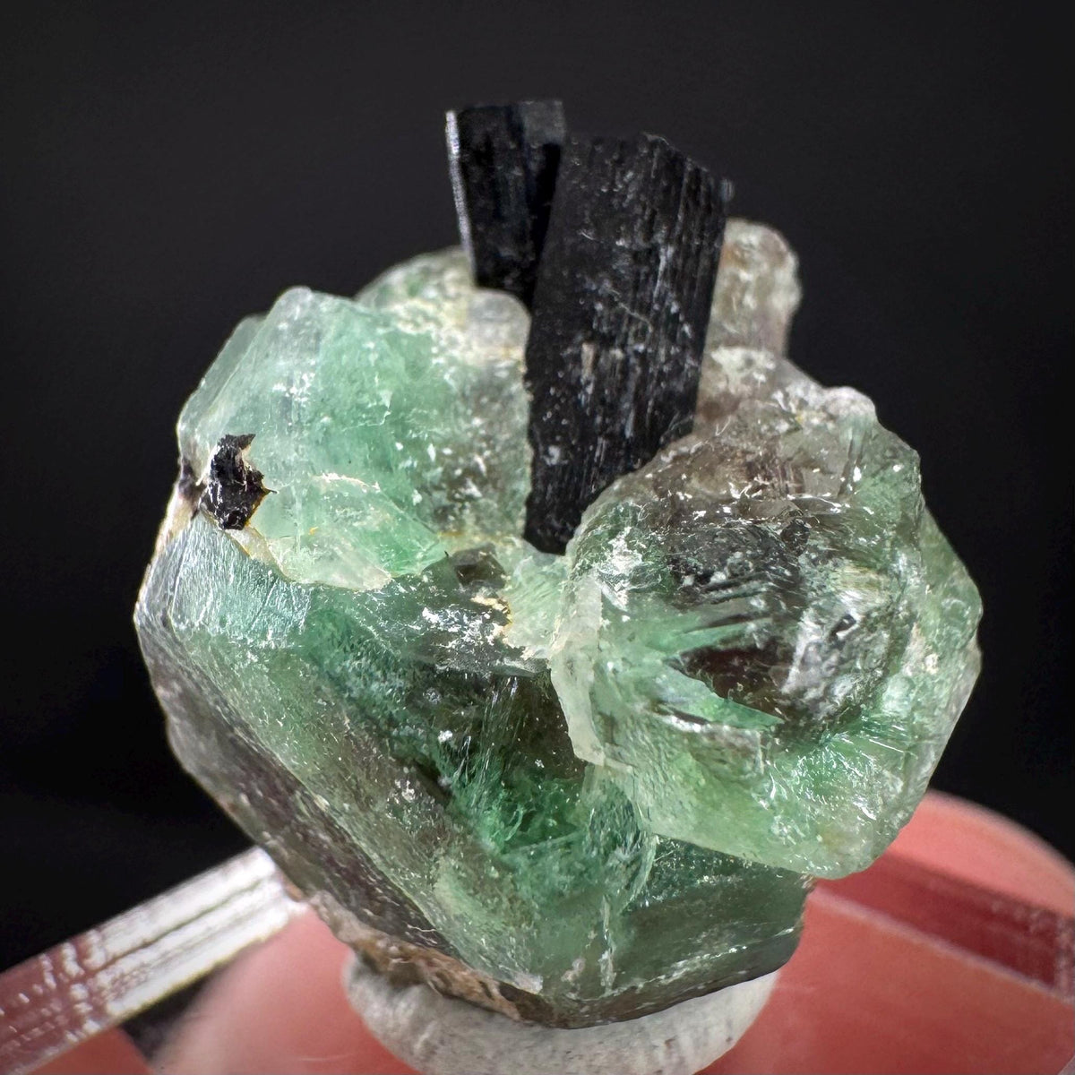 Fluorite w/ Black Tourmaline | Lollipop Pocket, green crystal, mineral specimen from Namibia