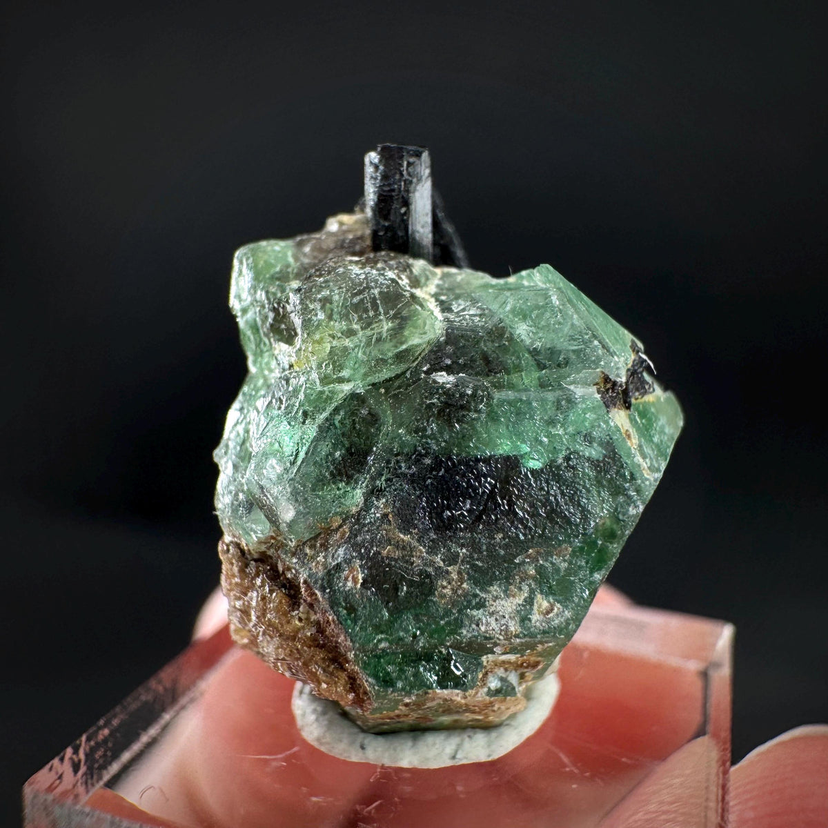 Fluorite w/ Black Tourmaline | Lollipop Pocket, green crystal, mineral specimen from Namibia
