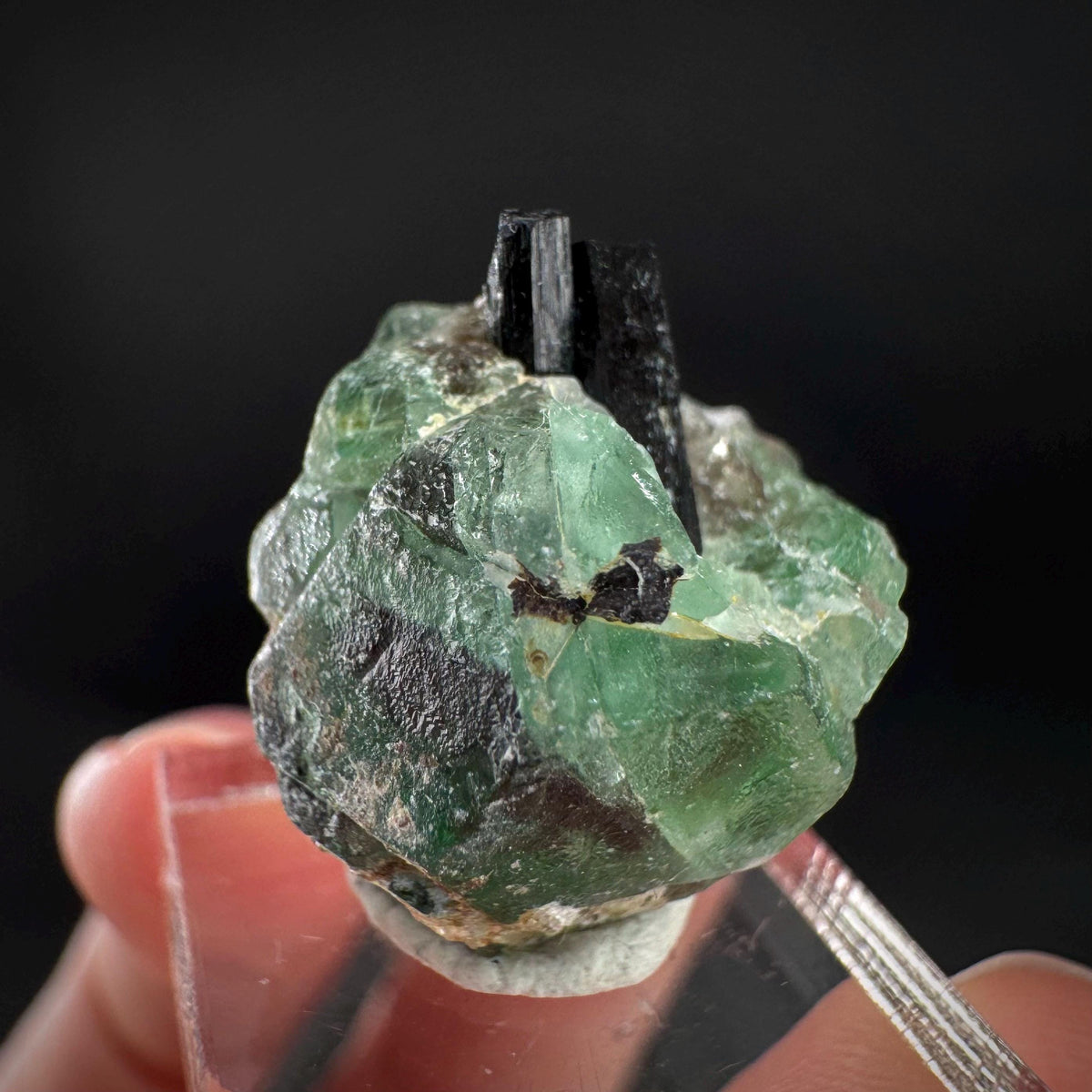 Fluorite w/ Black Tourmaline | Lollipop Pocket, green crystal, mineral specimen from Namibia