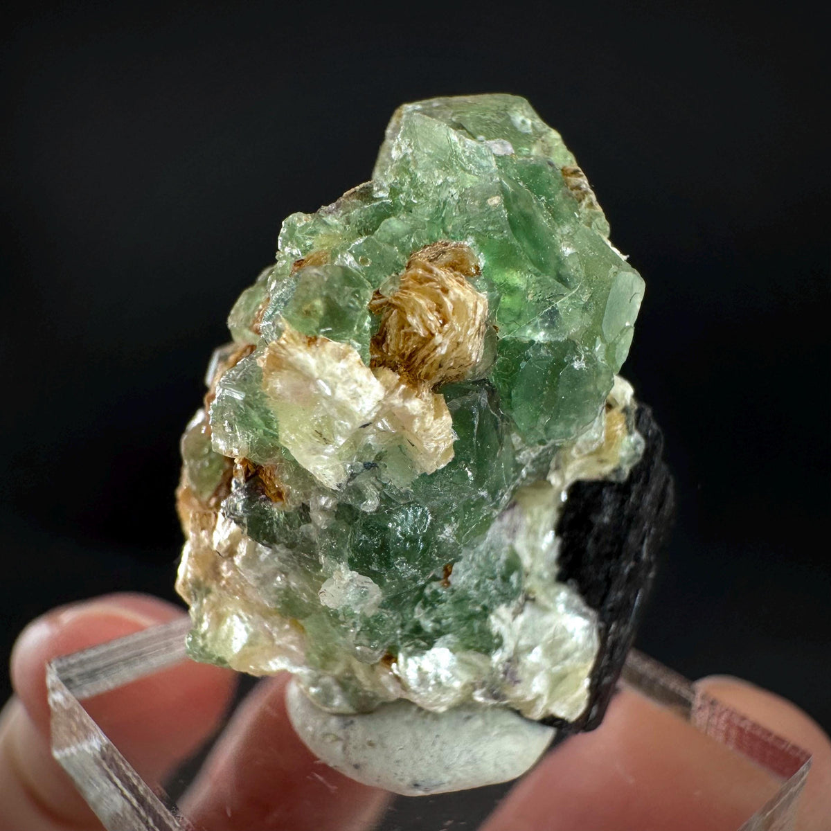 Fluorite w/ Schorl, & Muscovite | Lollipop Pocket, green crystal, mineral specimen from Namibia