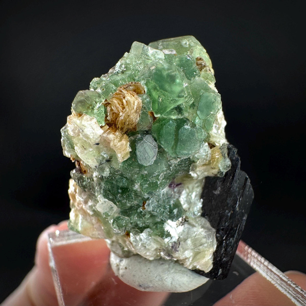 Fluorite w/ Schorl, & Muscovite | Lollipop Pocket, green crystal, mineral specimen from Namibia