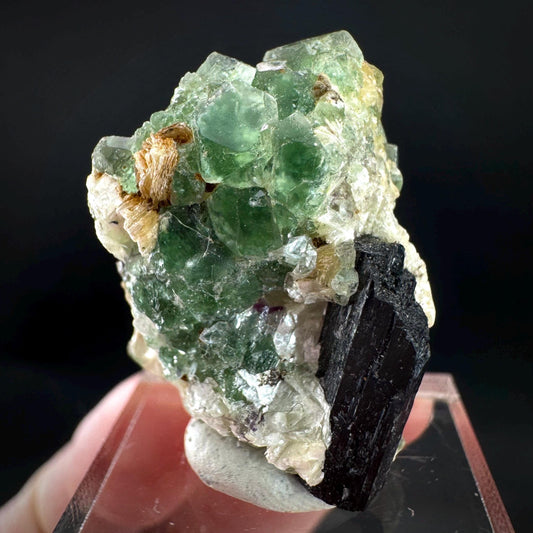 Fluorite w/ Schorl, & Muscovite | Lollipop Pocket, green crystal, mineral specimen from Namibia