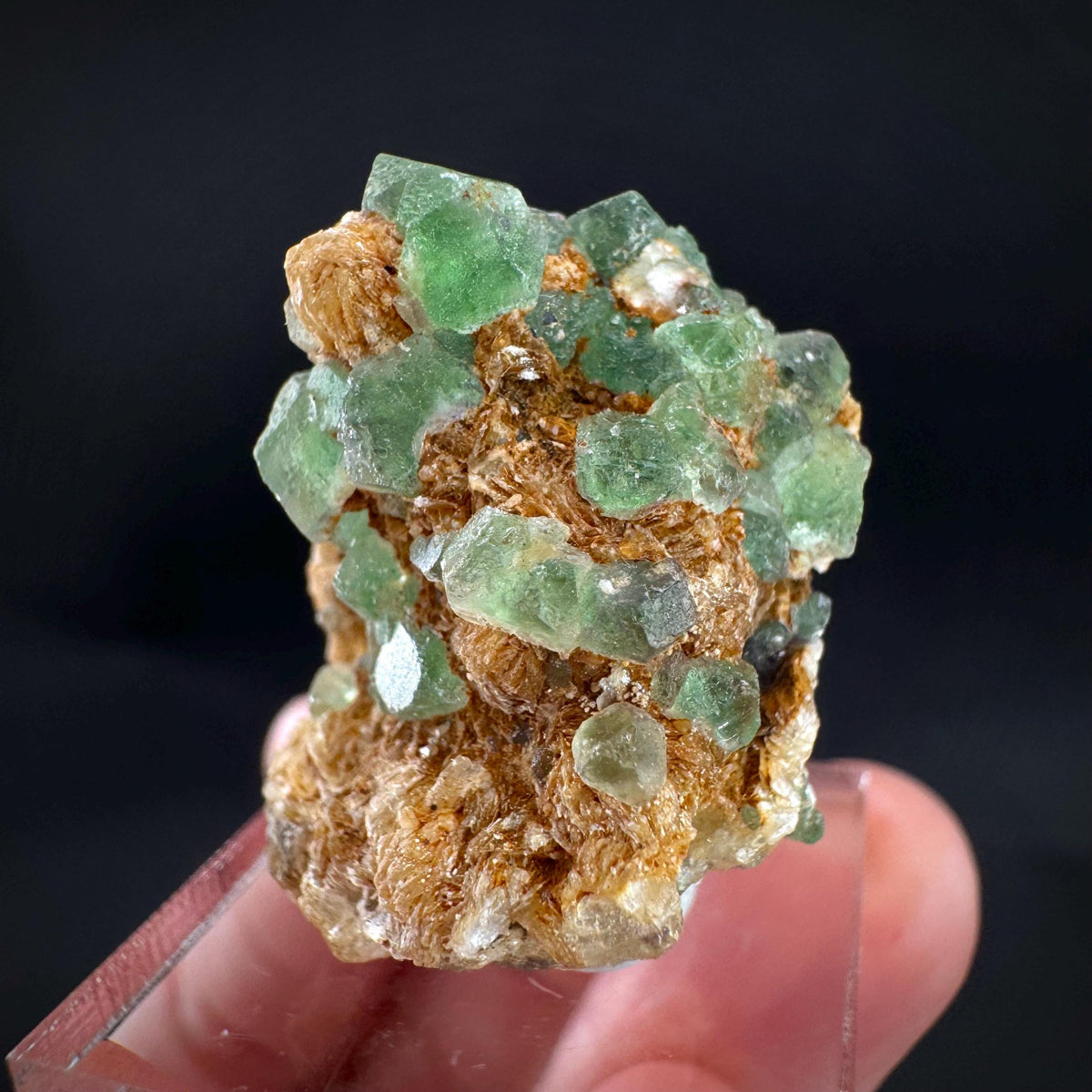Fluorite w/ Schorl, & Muscovite | Lollipop Pocket, green crystal, mineral specimen from Namibia