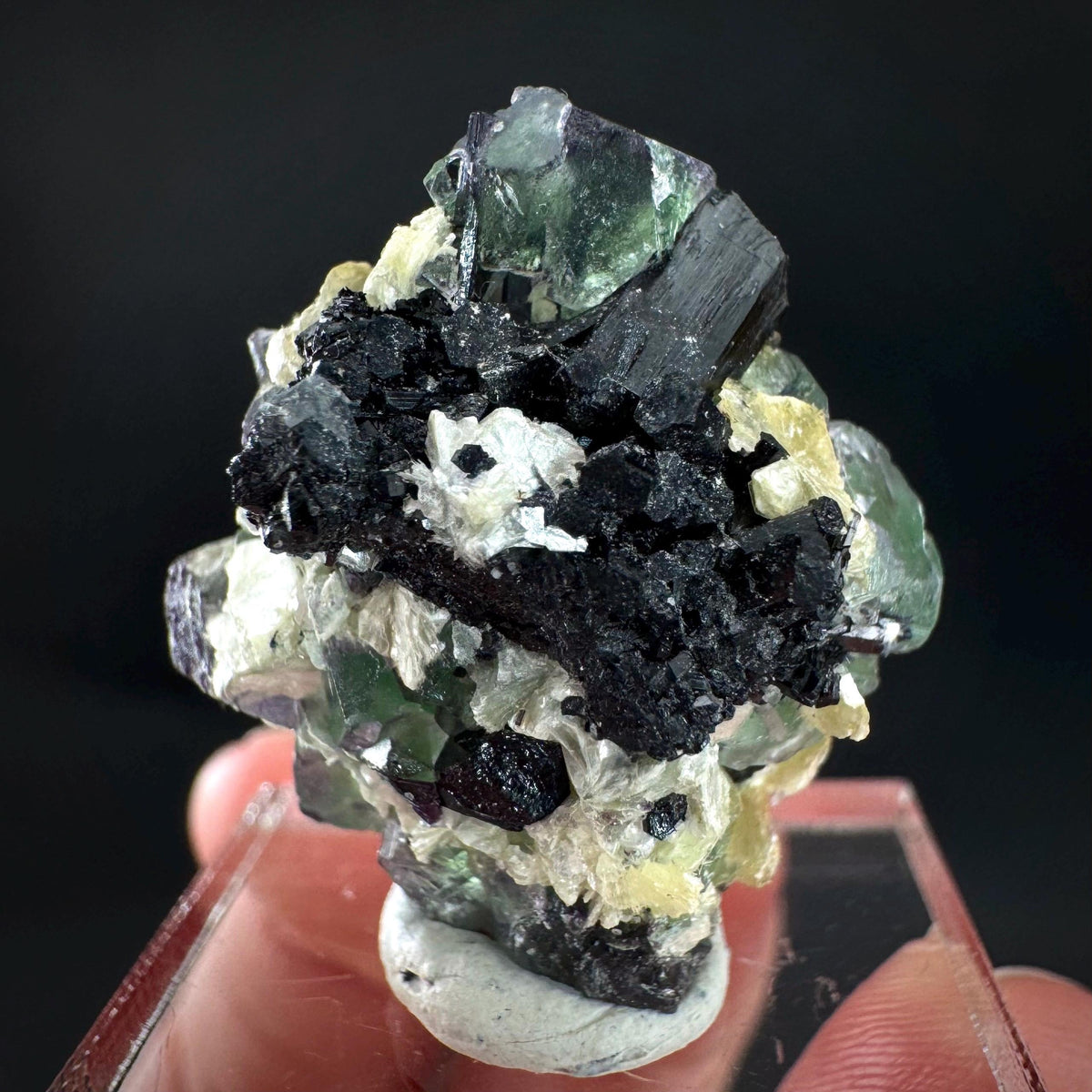 Fluorite w/ Schorl, & Muscovite | Lollipop Pocket, green crystal, mineral specimen from Namibia
