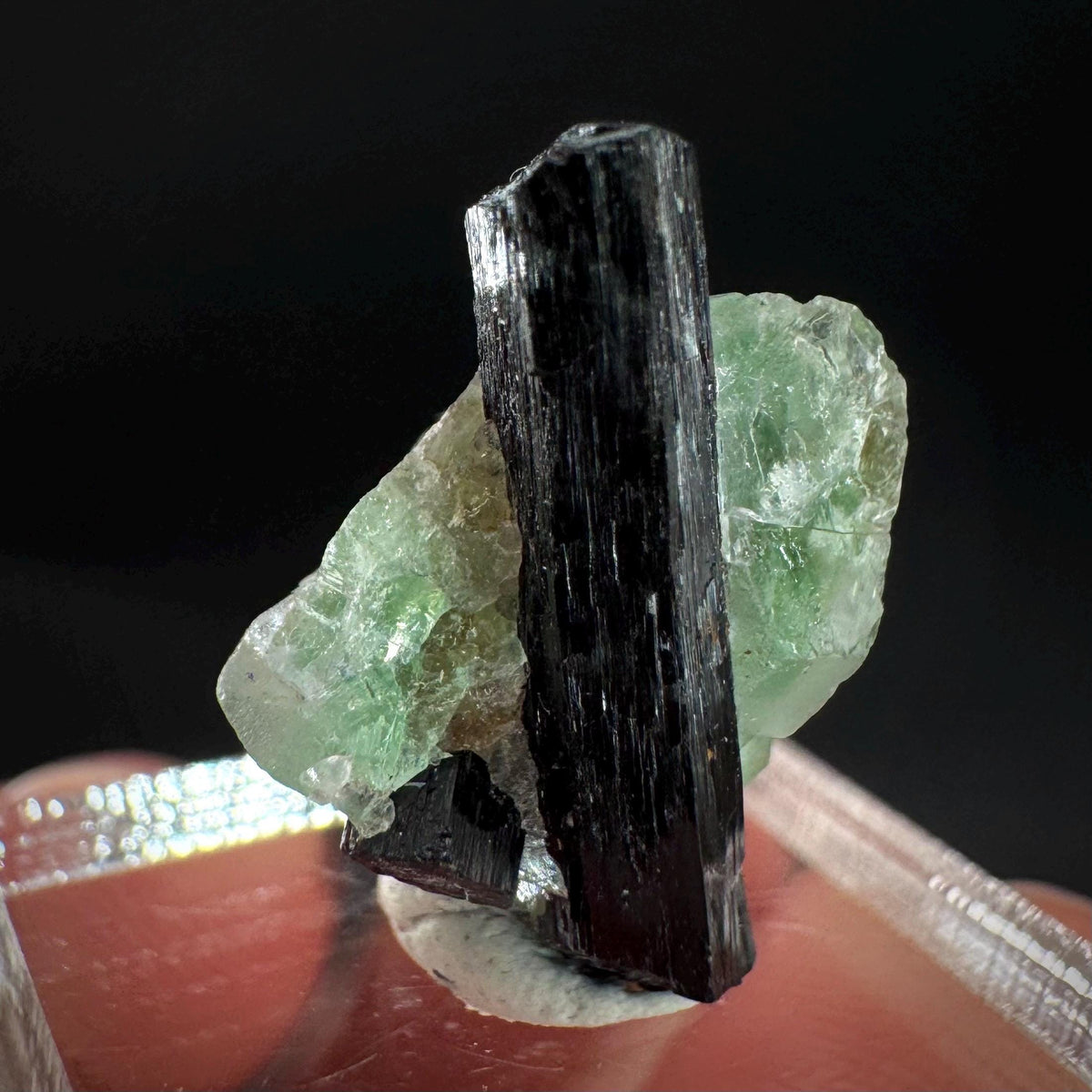 Fluorite w/ Black Tourmaline | Lollipop Pocket, green crystal, mineral specimen from Namibia
