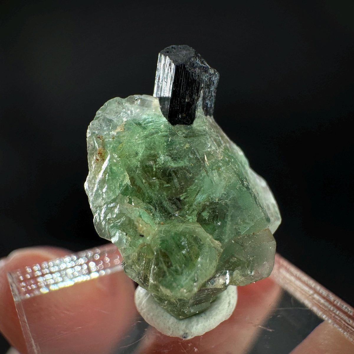Fluorite w/ Black Tourmaline | Lollipop Pocket, green crystal, mineral specimen from Namibia