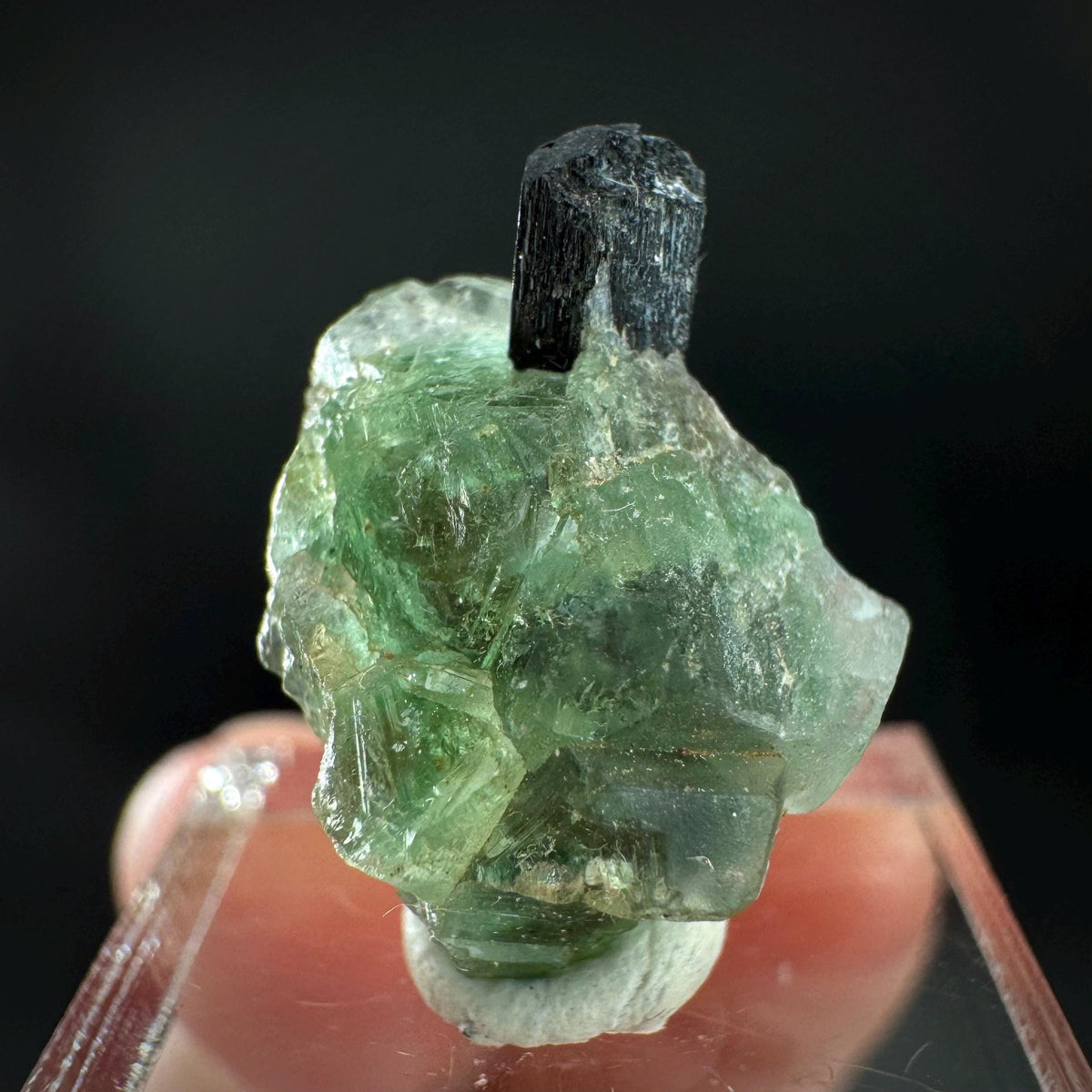 Fluorite w/ Black Tourmaline | Lollipop Pocket, green crystal, mineral specimen from Namibia