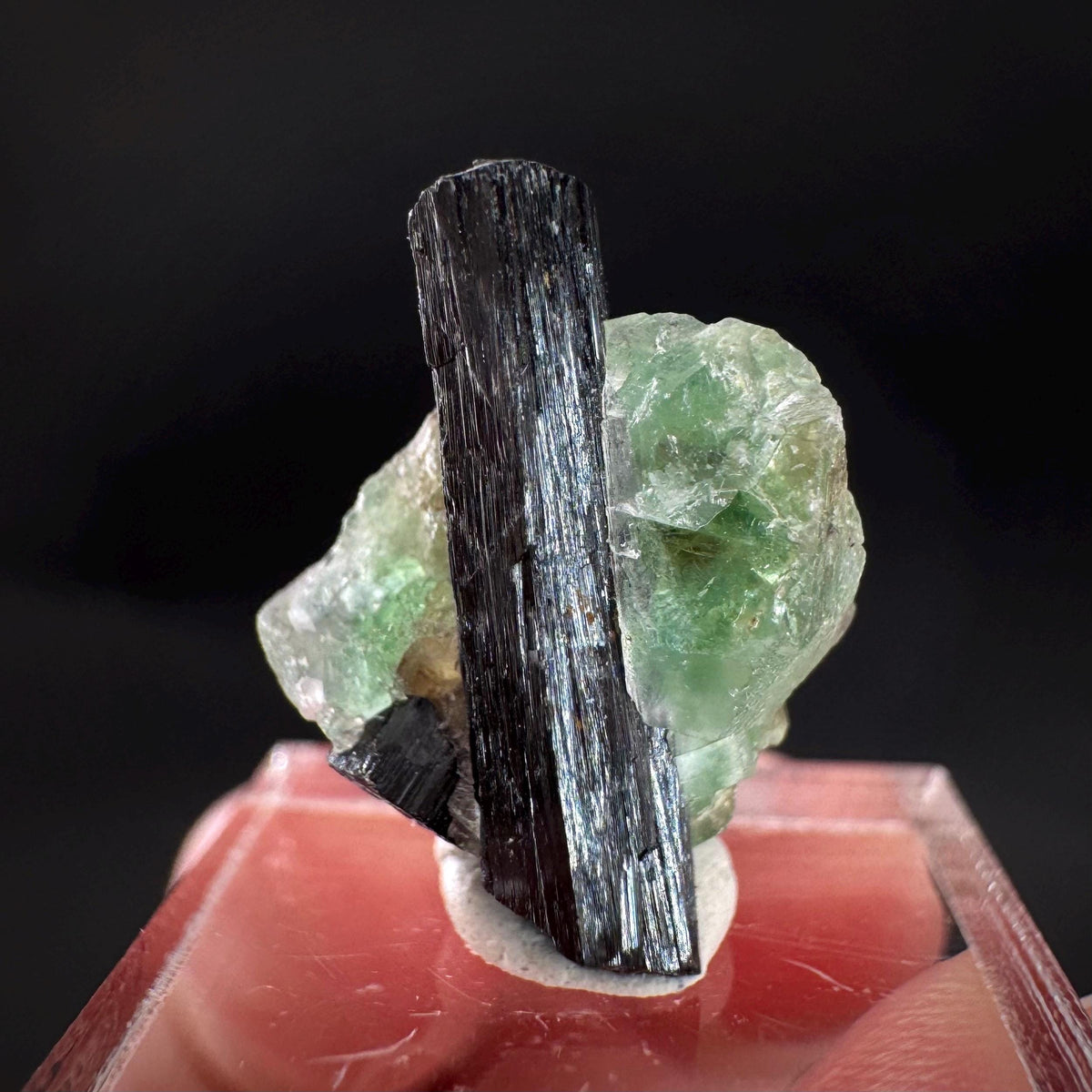Fluorite w/ Black Tourmaline | Lollipop Pocket, green crystal, mineral specimen from Namibia