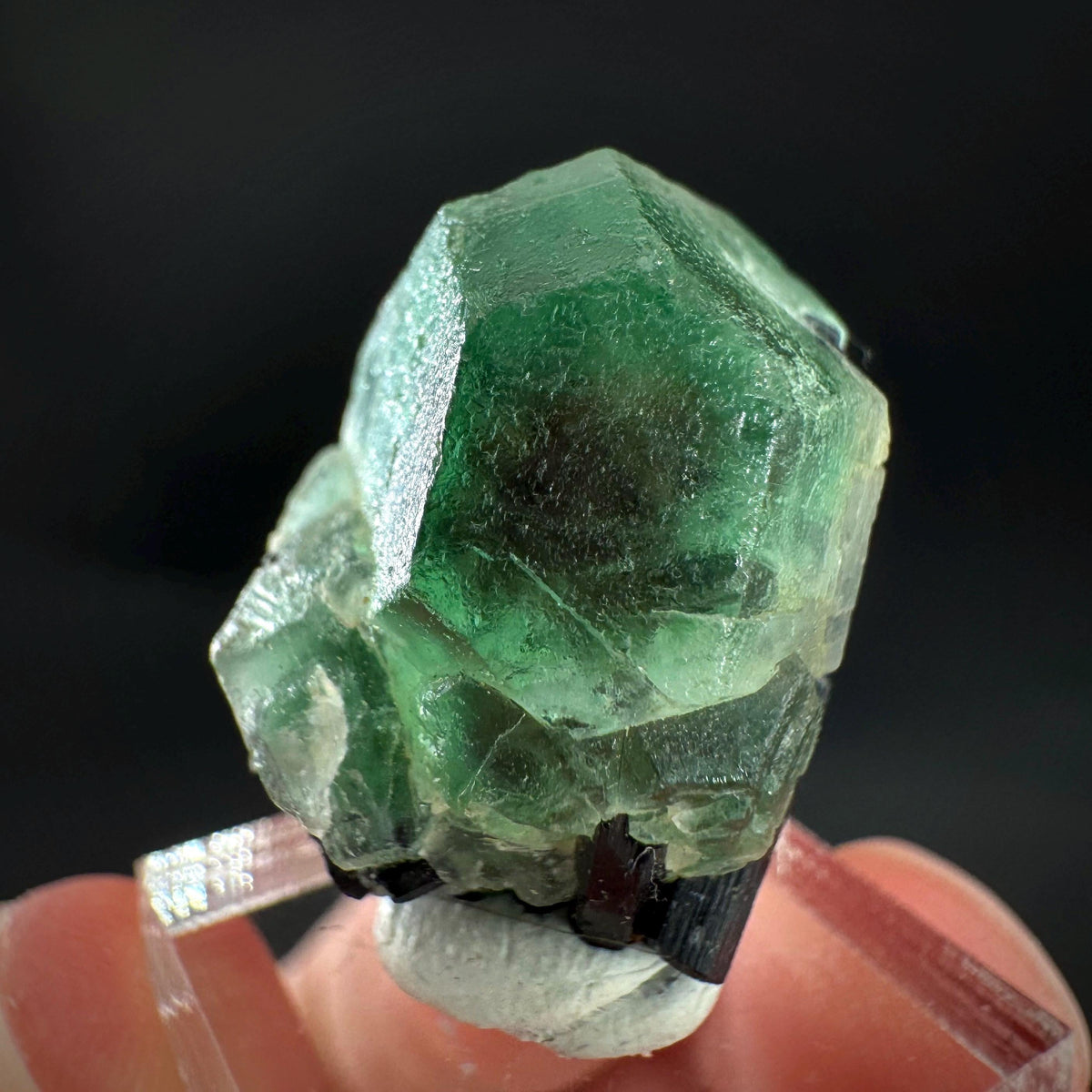 Fluorite w/ Black Tourmaline | Lollipop Pocket, green crystal, mineral specimen from Namibia