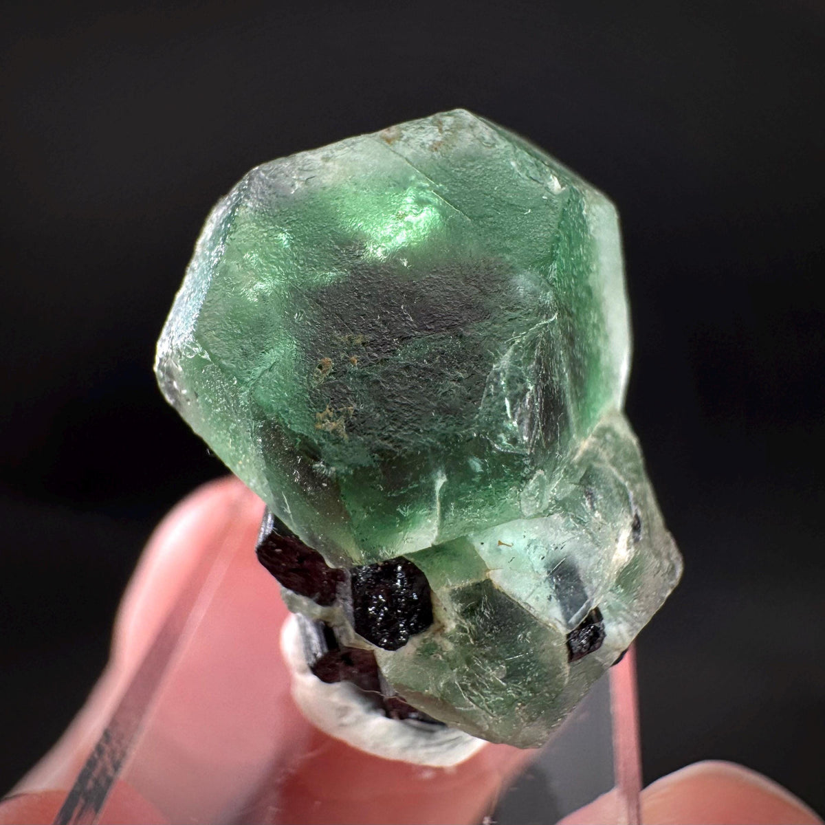 Fluorite w/ Black Tourmaline | Lollipop Pocket, green crystal, mineral specimen from Namibia