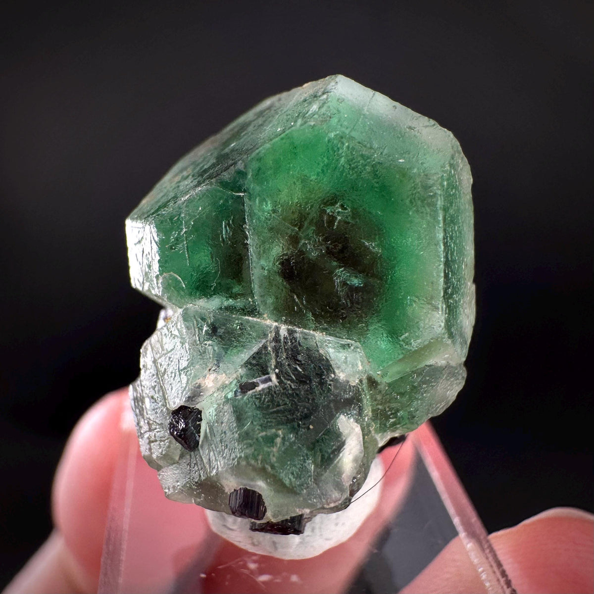 Fluorite w/ Black Tourmaline | Lollipop Pocket, green crystal, mineral specimen from Namibia