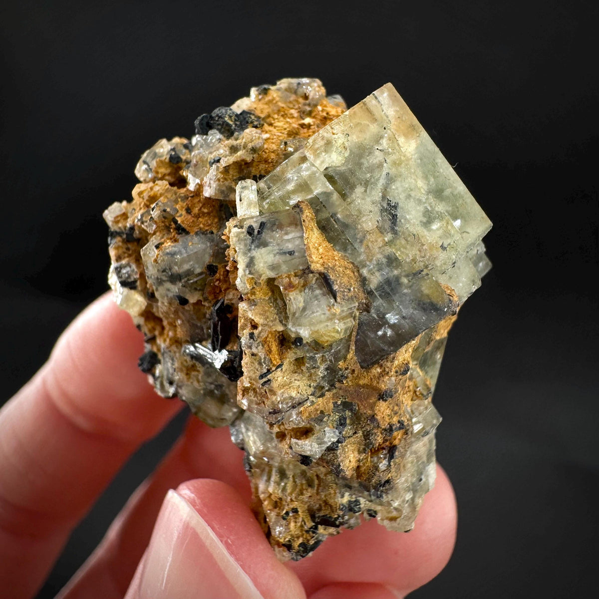 Beryl var. Goshenite with Black Tourmaline | natural crystal cluster, mineral specimen from Namibia