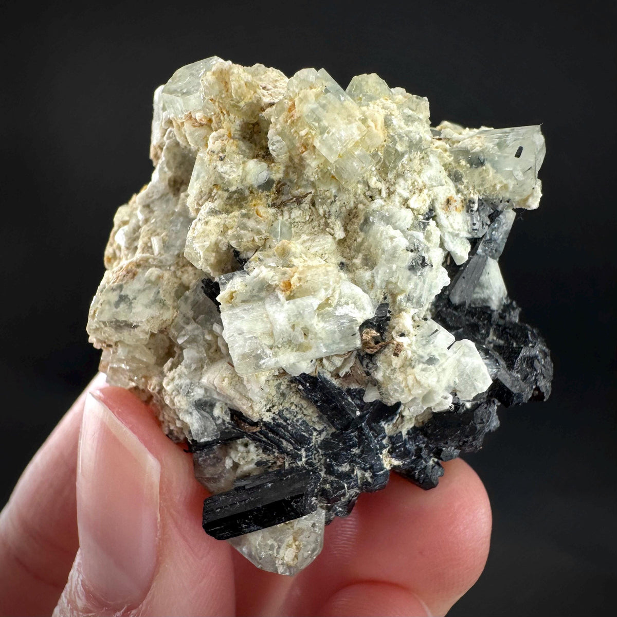 Beryl var. Goshenite with Black Tourmaline | natural crystal cluster, mineral specimen from Namibia