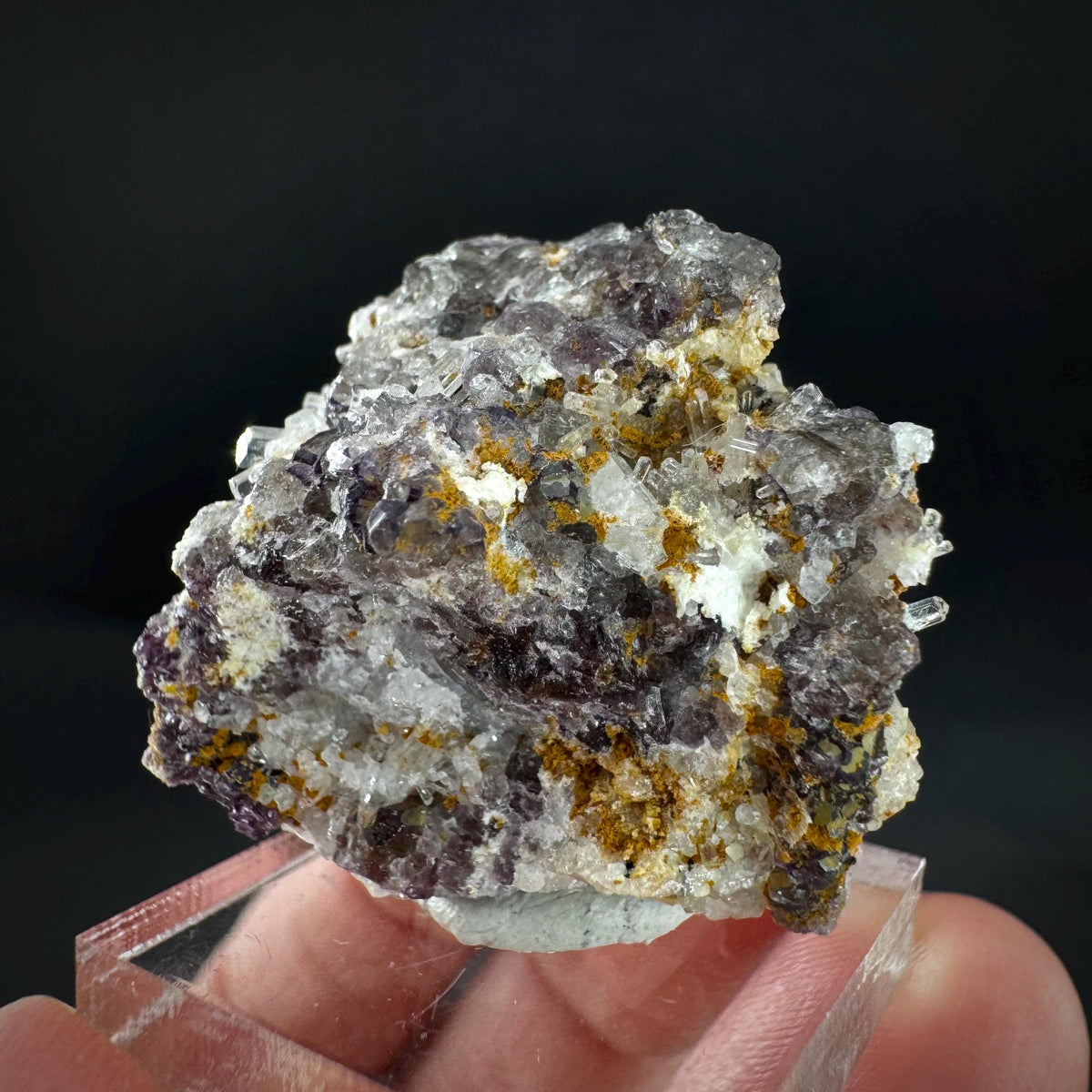 Beryl var. Goshenite with Fluorite | natural crystal cluster, mineral specimen from Namibia