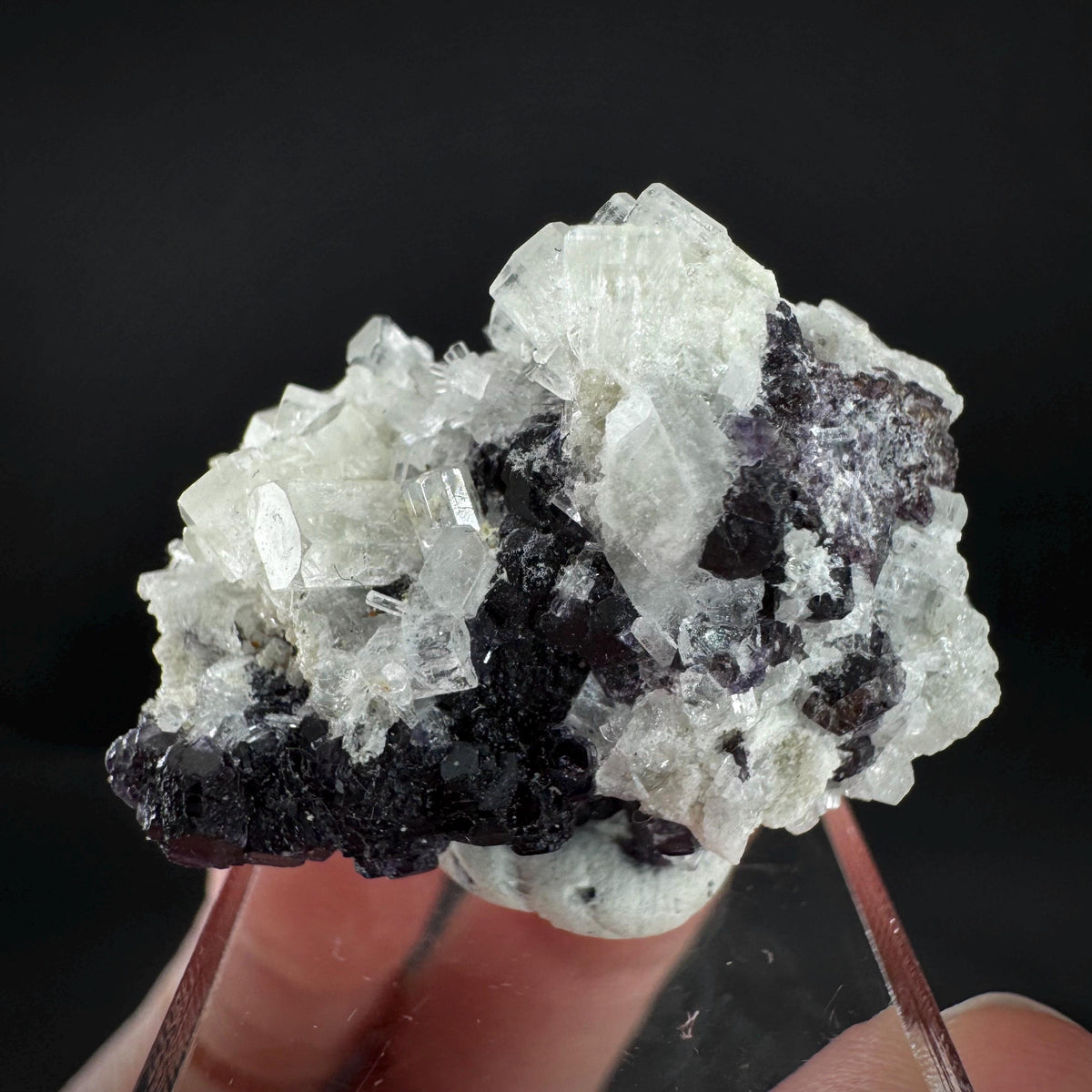 Beryl var. Goshenite with Fluorite | natural crystal cluster, mineral specimen from Namibia