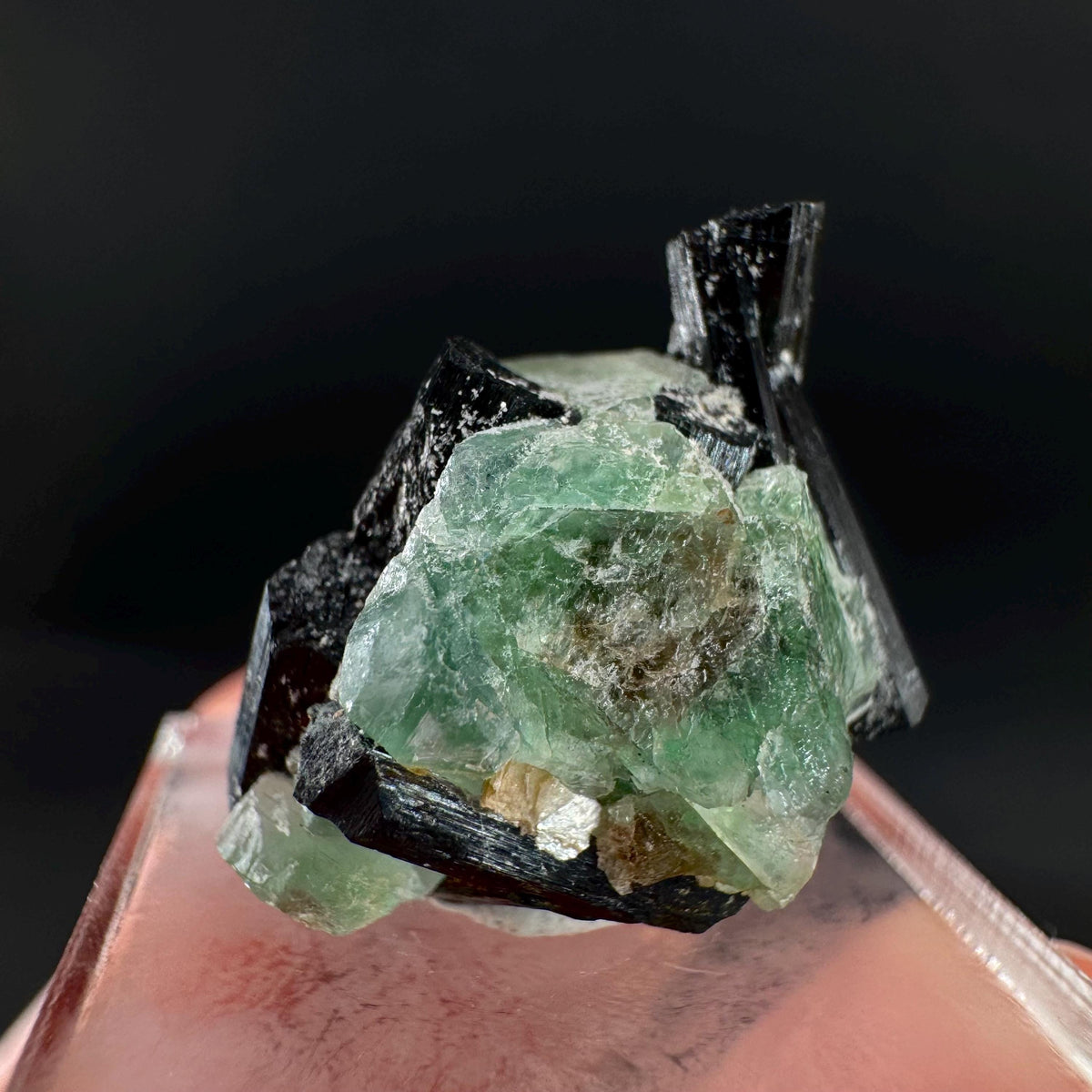 Fluorite w/ Black Tourmaline | Lollipop Pocket, green crystal, mineral specimen from Namibia