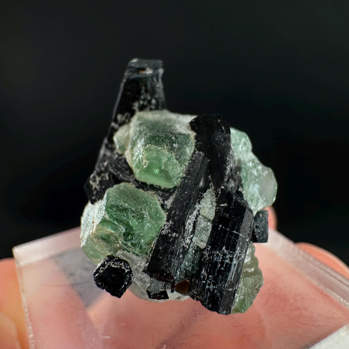 Fluorite w/ Black Tourmaline | Lollipop Pocket, green crystal, mineral specimen from Namibia