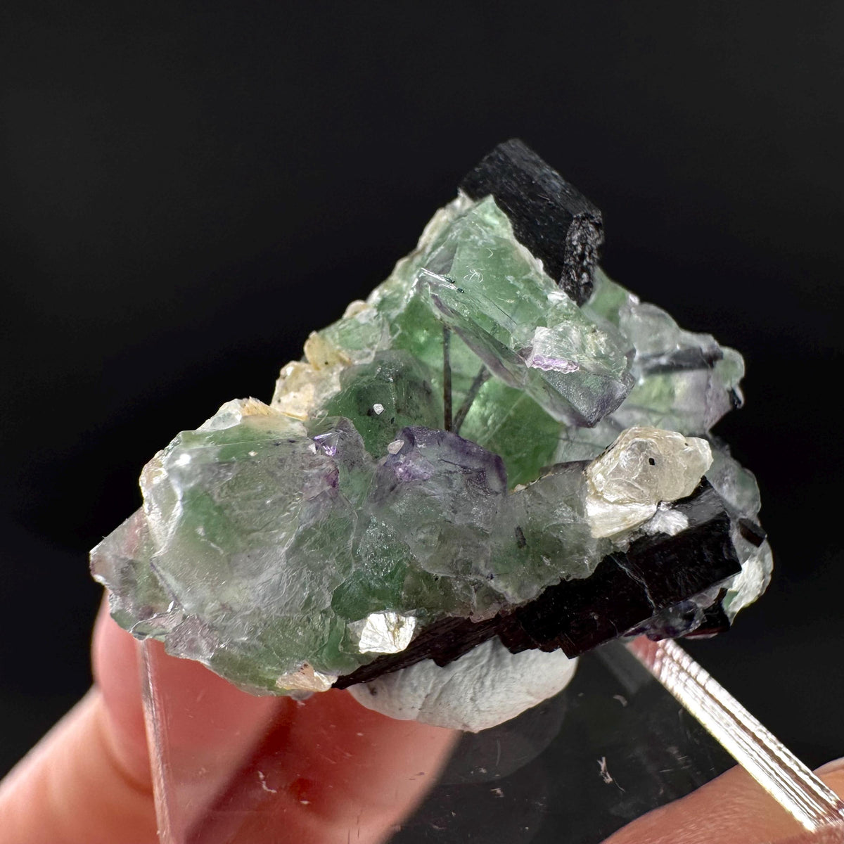 Fluorite w/ Schorl, & Muscovite | Lollipop Pocket, green crystal, mineral specimen from Namibia