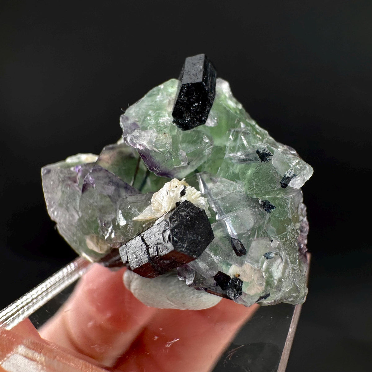 Fluorite w/ Schorl, & Muscovite | Lollipop Pocket, green crystal, mineral specimen from Namibia