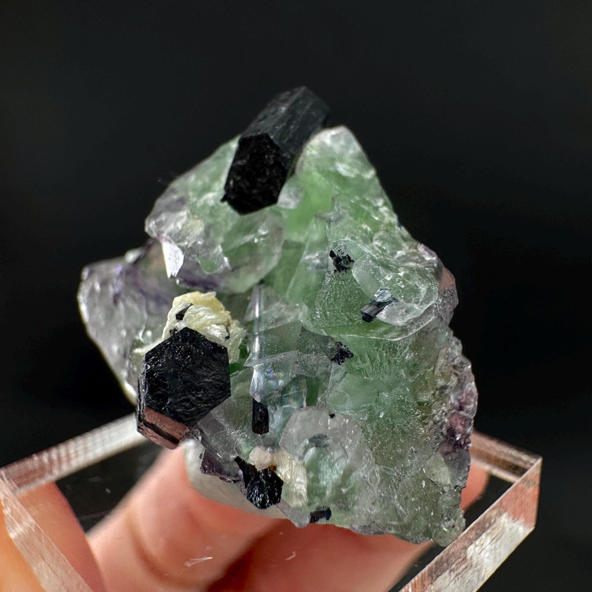 Fluorite w/ Schorl, & Muscovite | Lollipop Pocket, green crystal, mineral specimen from Namibia