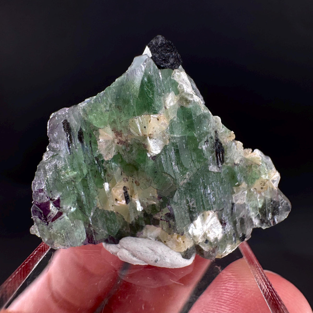 Fluorite w/ Schorl, & Muscovite | Lollipop Pocket, green crystal, mineral specimen from Namibia