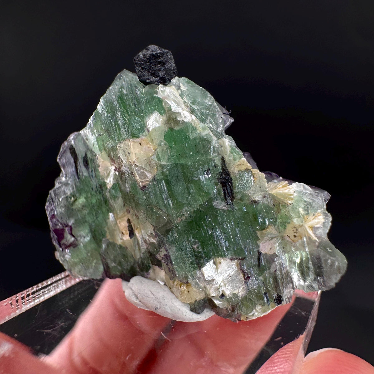 Fluorite w/ Schorl, & Muscovite | Lollipop Pocket, green crystal, mineral specimen from Namibia