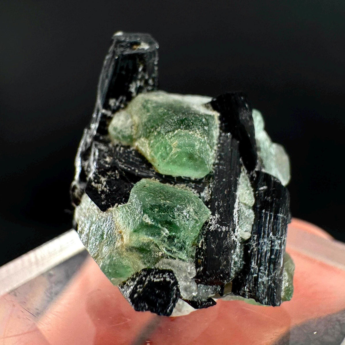 Fluorite w/ Black Tourmaline | Lollipop Pocket, green crystal, mineral specimen from Namibia